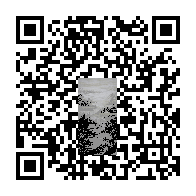 商品二维码