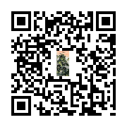 商品二维码