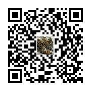 商品二维码